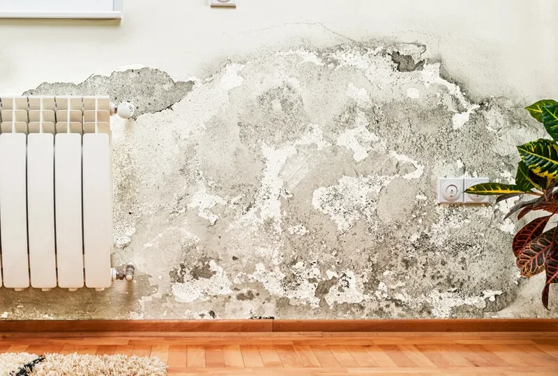 reformas contra las humedades